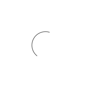 spinner